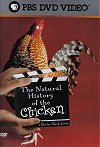 Natural Hostory of Chicken