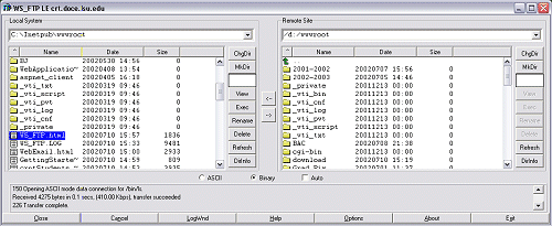 image of ws_ftp Main Screen